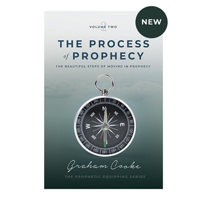 The Process of Prophecy (Paperback)