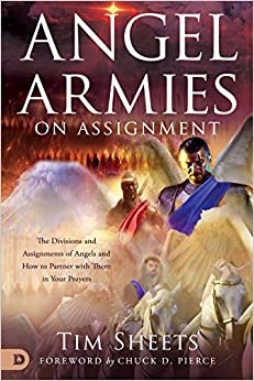 Angel Armies on Assignmnet (Paperback)