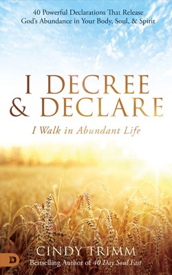 I Decree and Declare: I Walk in Abundant Life (Hard Cover)
