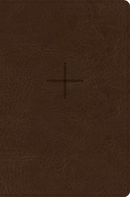 CSB Every Day with Jesus Daily Bible, Brown (Imitation Leather)