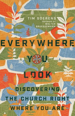 Everywhere You Look (Paperback)
