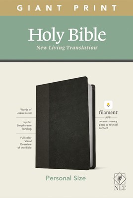 NLT Personal Size Giant Print Bible, Filament Edition, Black (Imitation Leather)