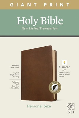 NLT Personal Size Giant Print Bible, Filament Edition, Brown (Imitation Leather)