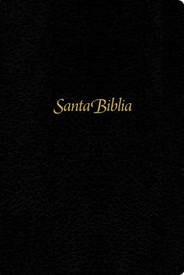 Santa Biblia NTV, Edición personal, letra grande (Letra Roja (Imitation Leather)