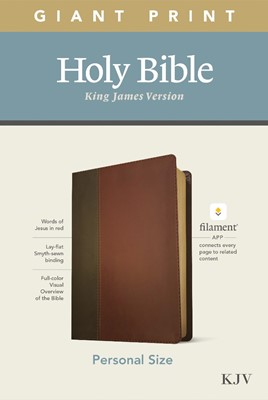 KJV Personal Size Giant Print Bible, Filament Edition, Brown (Imitation Leather)
