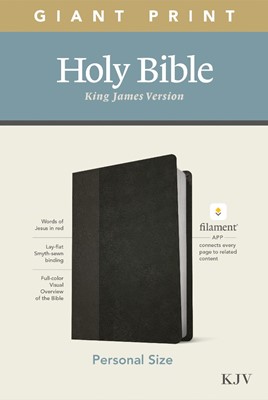 KJV Personal Size Giant Print Bible, Filament Edition, Black (Imitation Leather)