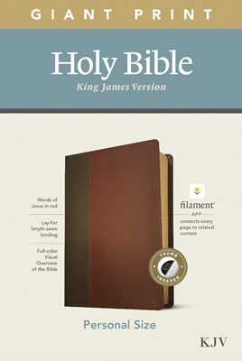 KJV Personal Size Giant Print Bible, Filament Edition, Brown (Imitation Leather)