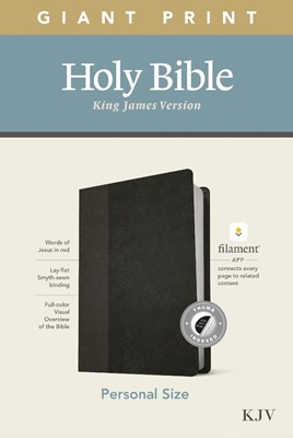 KJV Personal Size Giant Print Bible, Filament Edition, Black (Imitation Leather)