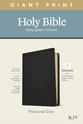 KJV Personal Size Giant Print Bible, Filament Edition, Black (Genuine Leather)