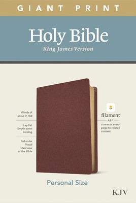 KJV Personal Size Giant Print Bible, Filament Edition, Brown (Genuine Leather)