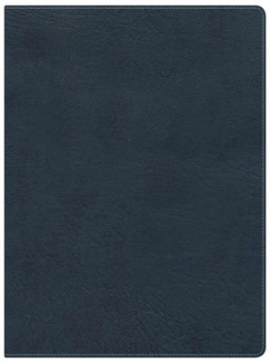 KJV Study Bible, Slate Blue Leathertouch (Imitation Leather)