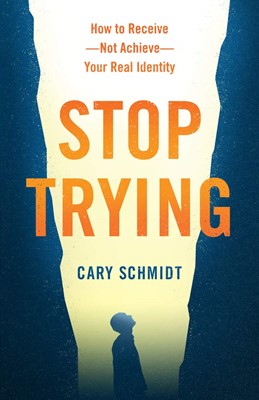 Stop Trying (Paperback)