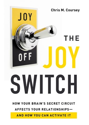 The Joy Switch (Paperback)