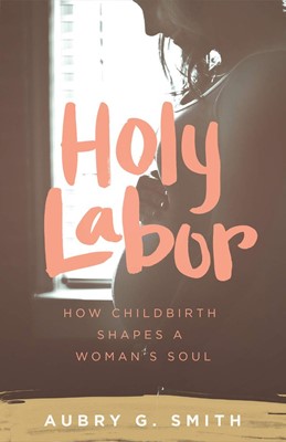 Holy Labor (Paperback)