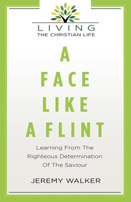 Face Like Flint, A (Paperback)