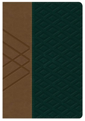 RVR 1960 Biblia Letra Grande Tamaño Manual, habano/verde osc (Imitation Leather)