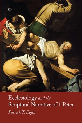Ecclesiology and the Scriptural Narrative of 1 Peter (Paperback)