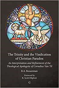 The Trinity and the Vindication of Christian Paradox (Paperback)