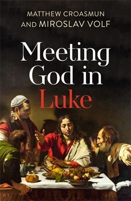 Meeting God in Luke (Paperback)