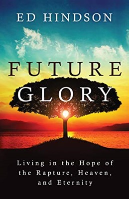 Future Glory (Paperback)