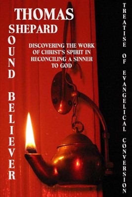 The Sound Believer (Paperback)