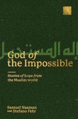 God of the Impossible (Paperback)