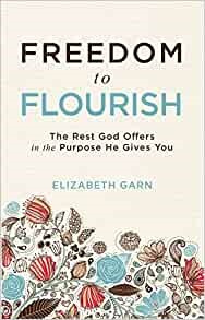 Freedom to Flourish (Paperback)