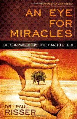 An Eye For Miracles (Paperback)