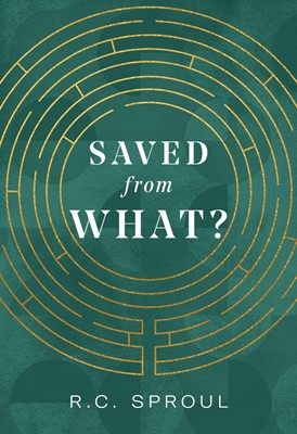 Saved from What? (Paperback)