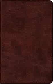 ESV Large Print Thinline Bible, TruTone, Mahogany (Imitation Leather)