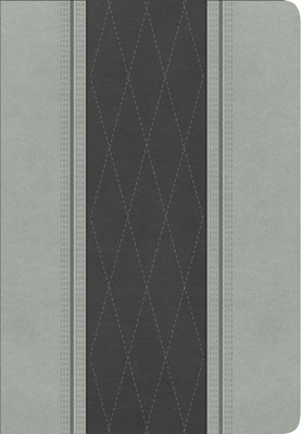 RVR 1960 Biblia Letra Grande Tamaño Manual, gris claro/gris (Imitation Leather)