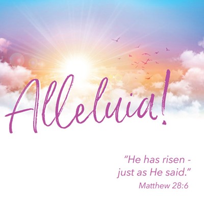 Alleluia Easter Cards (pack of 5) (Cards)