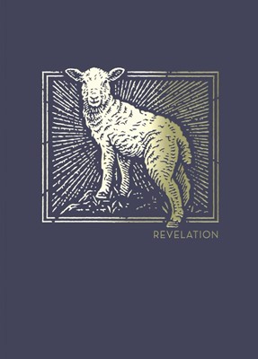 NET Abide Bible Journal: Revelation (Paperback)