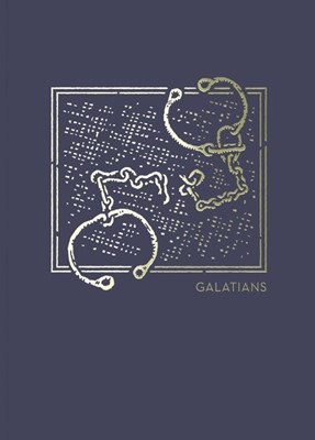 NET Abide Bible Journal: Galatians (Paperback)