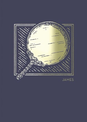 NET Abide Bible Journal: James (Paperback)