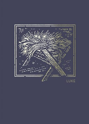 NET Abide Bible Journal: Luke (Paperback)