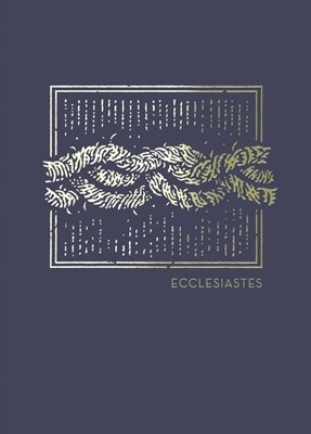 NET Abide Bible Journal: Ecclesiastes (Paperback)