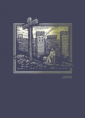 NET Abide Bible Journal: John (Paperback)