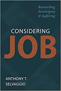Considering Job (Paperback)
