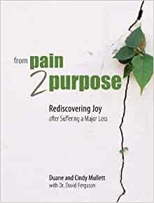 From Pain 2 Purpose (Paperback)