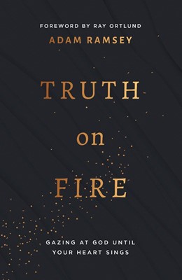 Truth on Fire (Paperback)