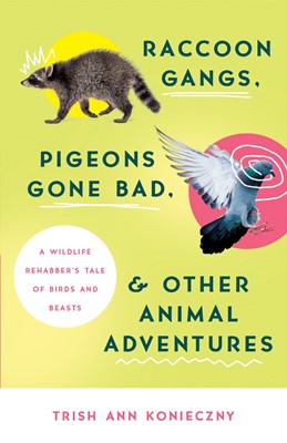Raccoon Gangs, Pigeons Gone Bad, and Other Animal Adventures (Paperback)