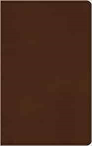 ESV Large Print Value Thinline Bible (TruTone, Camel) (Imitation Leather)