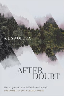 After Doubt (Paperback)