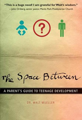 The Space Between (Paperback)