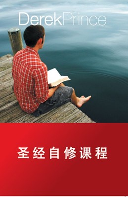 Self Study Bible Course (Chinese) (Paperback)