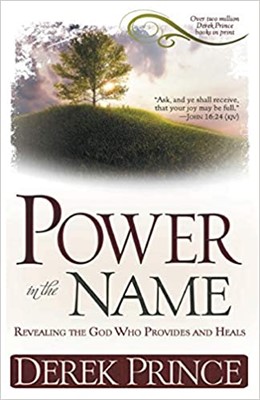 Power in the Name (Paperback)