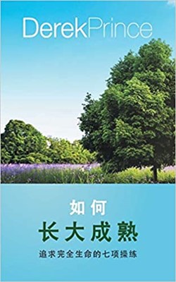Be Perfect (Chinese) (Paperback)