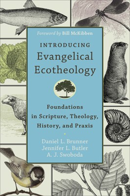 Introducing Evangelical Ecotheology (Paperback)