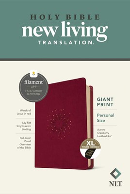 NLT Personal Size Giant Print Bible, Filament Edition (Imitation Leather)